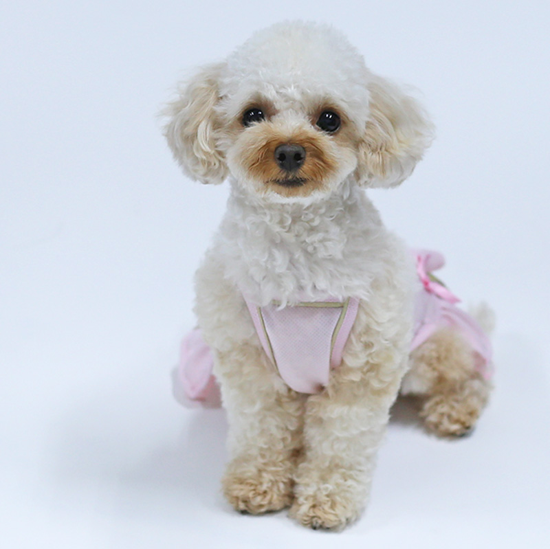 プードルの犬服