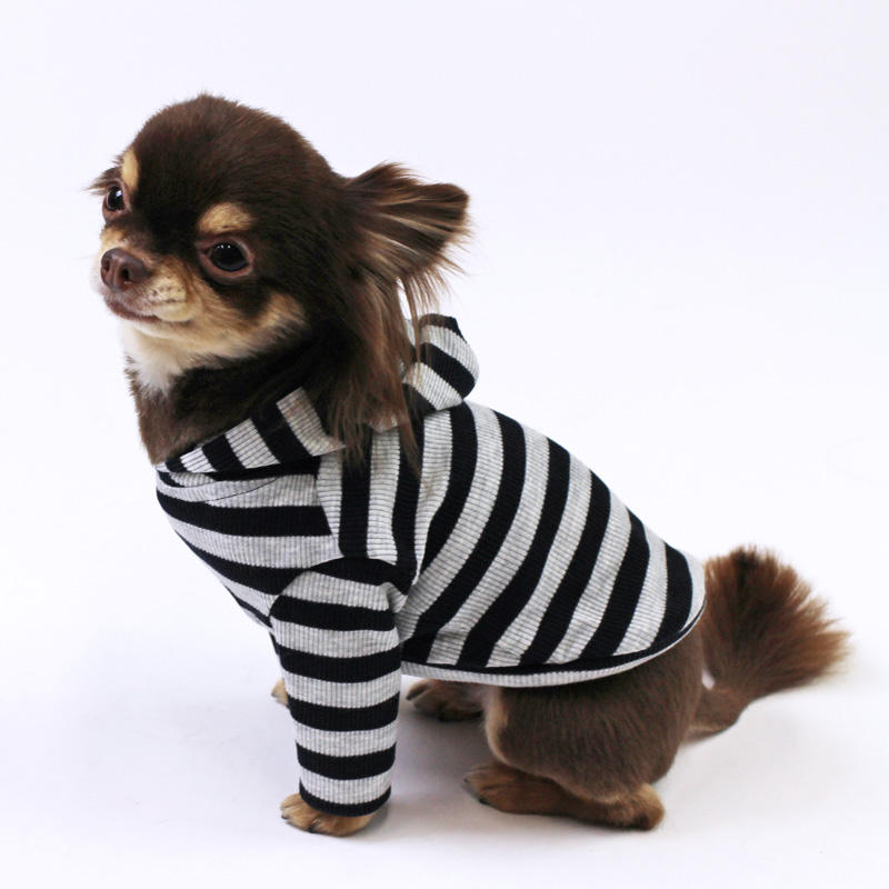 チワワの犬服
