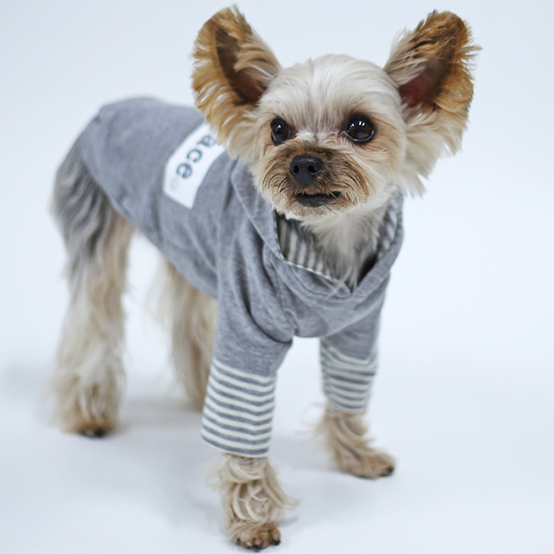 ヨーキーの犬服