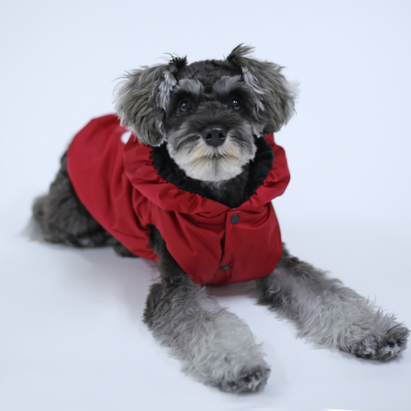 ミニチュアシュナウザーの犬服