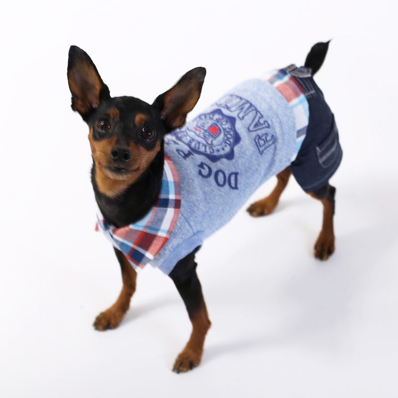 ミニチュアピンシャーの犬服