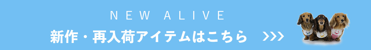 新作・再入荷ニュース