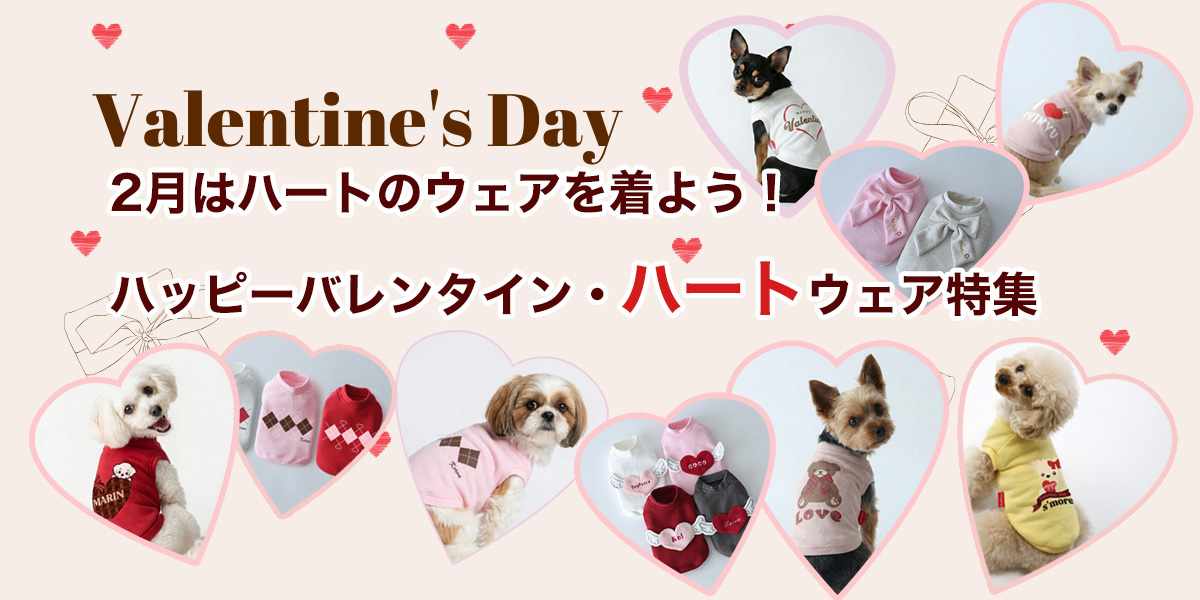 バレンタイン特集