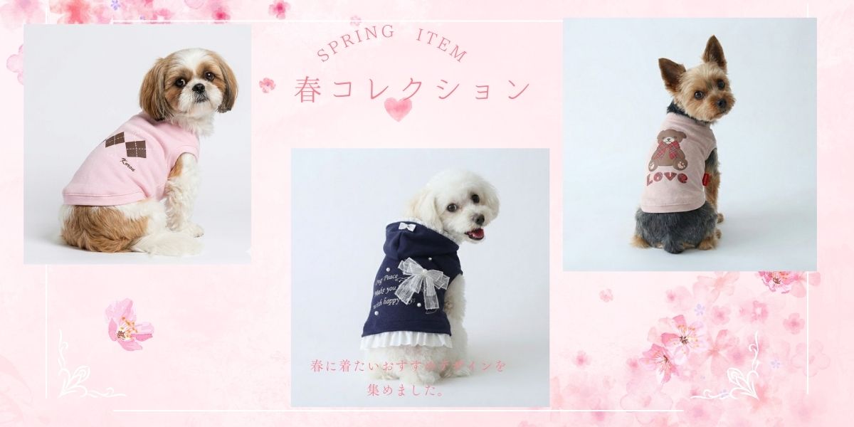 春ウェア特集