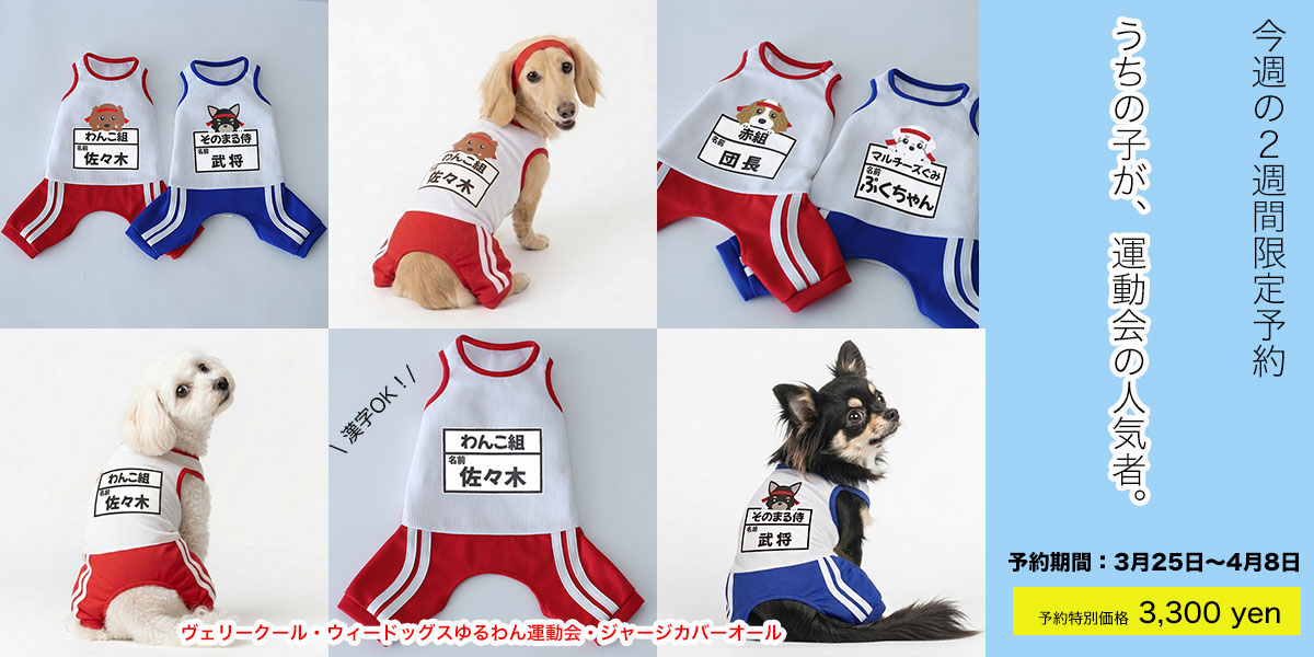 ヴェリークール運動会