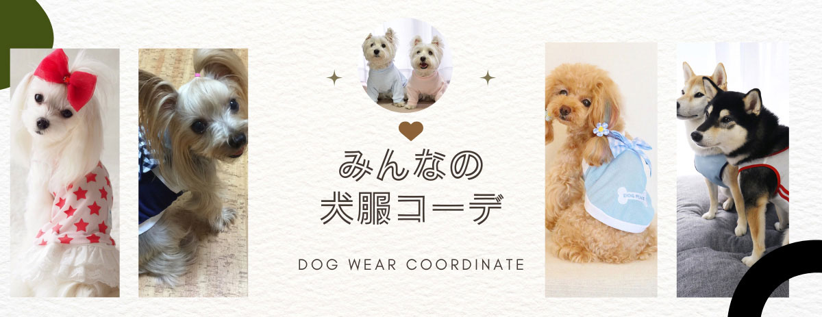 みんなの犬服コーデ