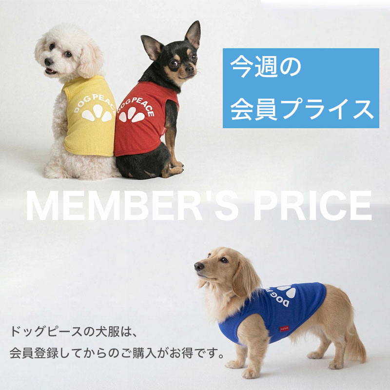 今週の会員プライス