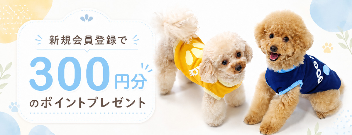 新規会員