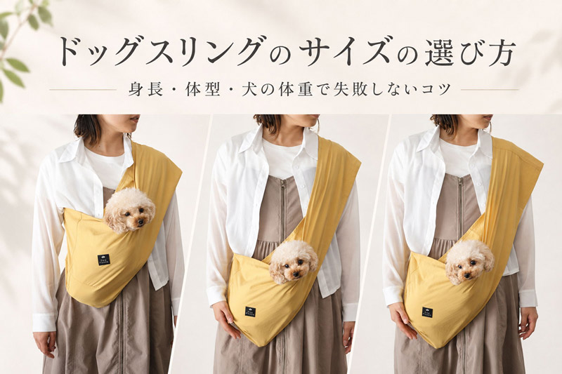 ドッグスリングサイズについて