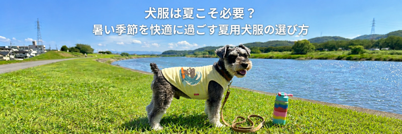 犬に夏服は必要かブログ