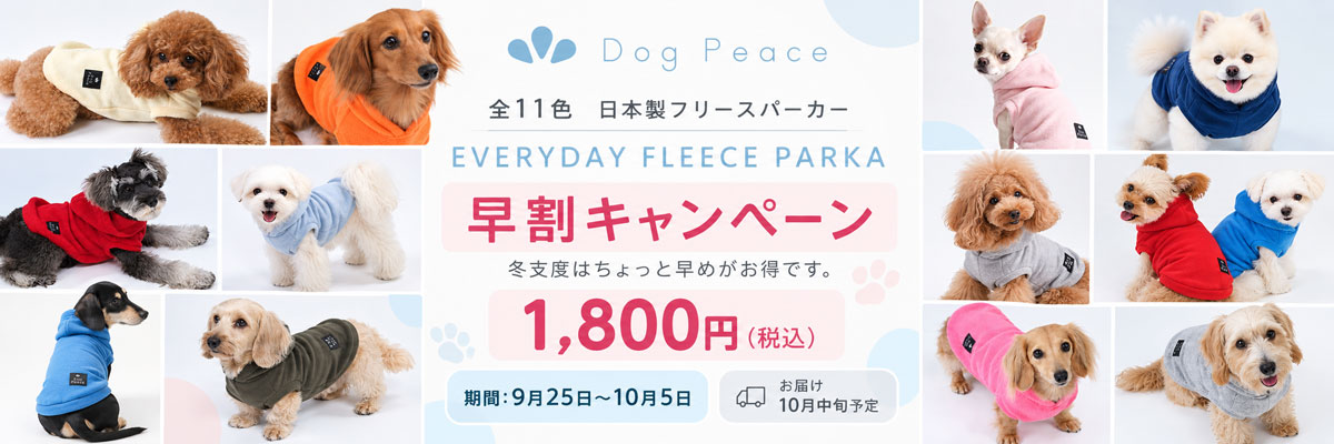 エブリデイフリースパーカー早割