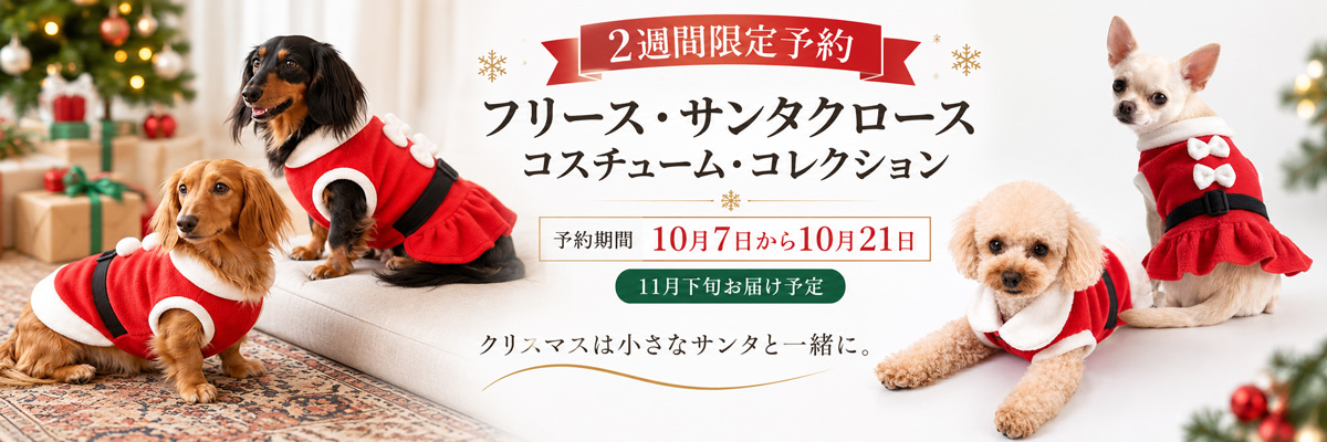サンタコスチューム