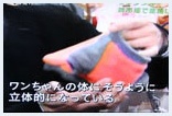 メディア掲載実績5