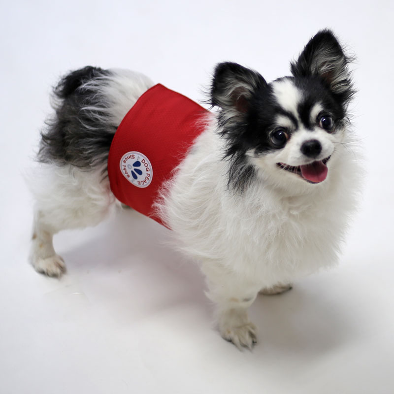 TSUKURITE LAB | 犬服通販ドッグピース