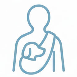 ドッグスリング