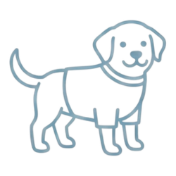 みんなの犬服コーデ