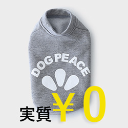 サイズお試しウェア