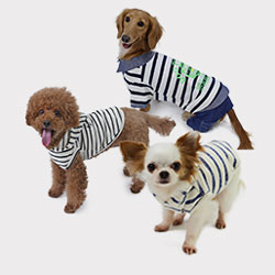 犬種別サイズ表