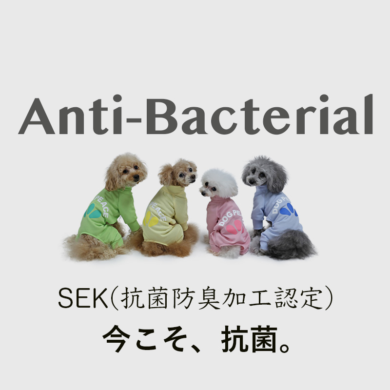 抗菌服・術後服