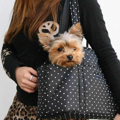 000000004524-08.jpg?size=l&w=