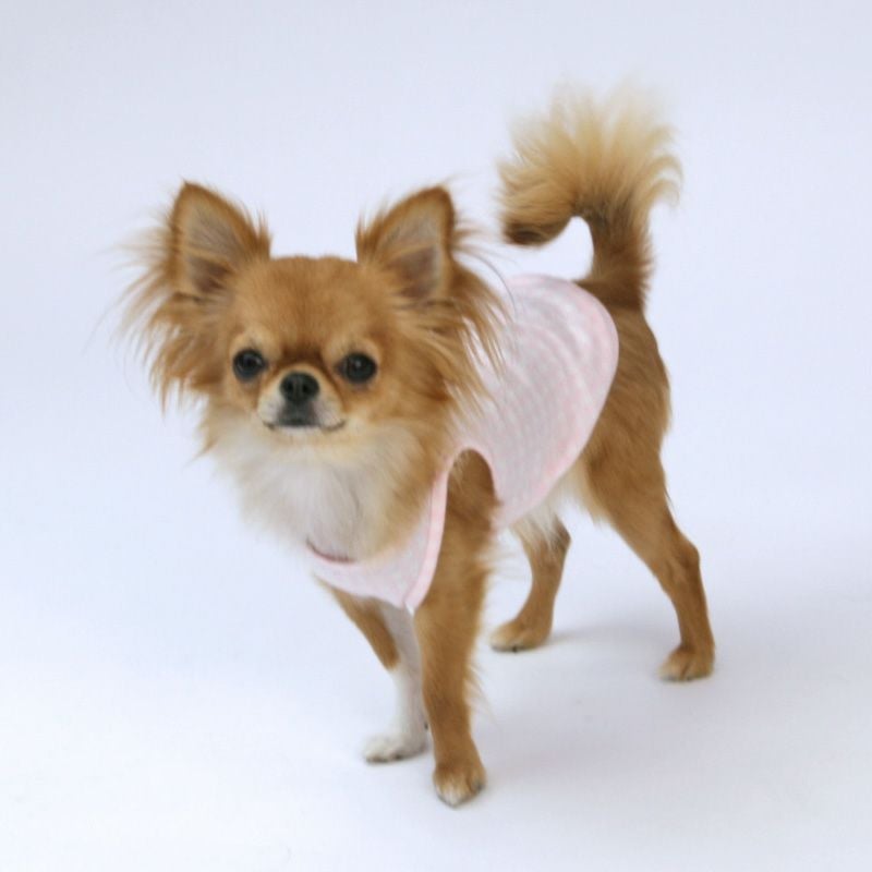 小型犬服 型紙] シンプルタンクトップ | 犬服通販ドッグピース