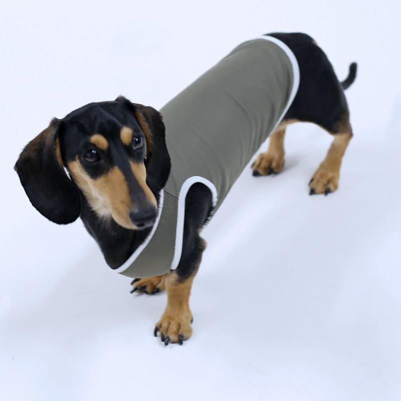 小型犬服 型紙] シンプルタンクトップ | 犬服通販ドッグピース