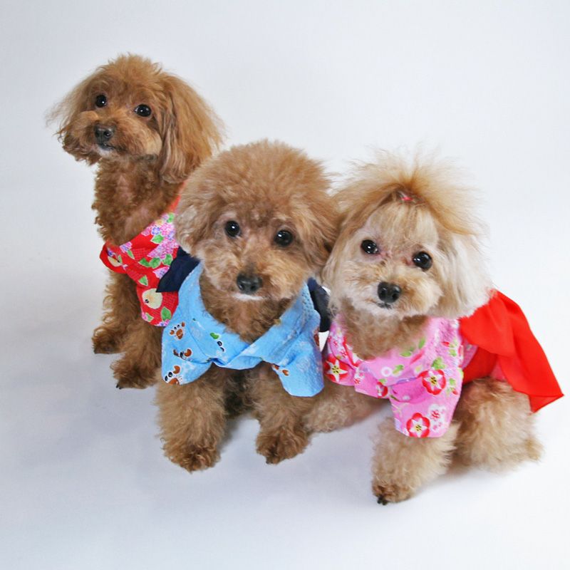 カット版・小型犬服型紙】 ワンタッチ浴衣 | 犬服通販ドッグピース