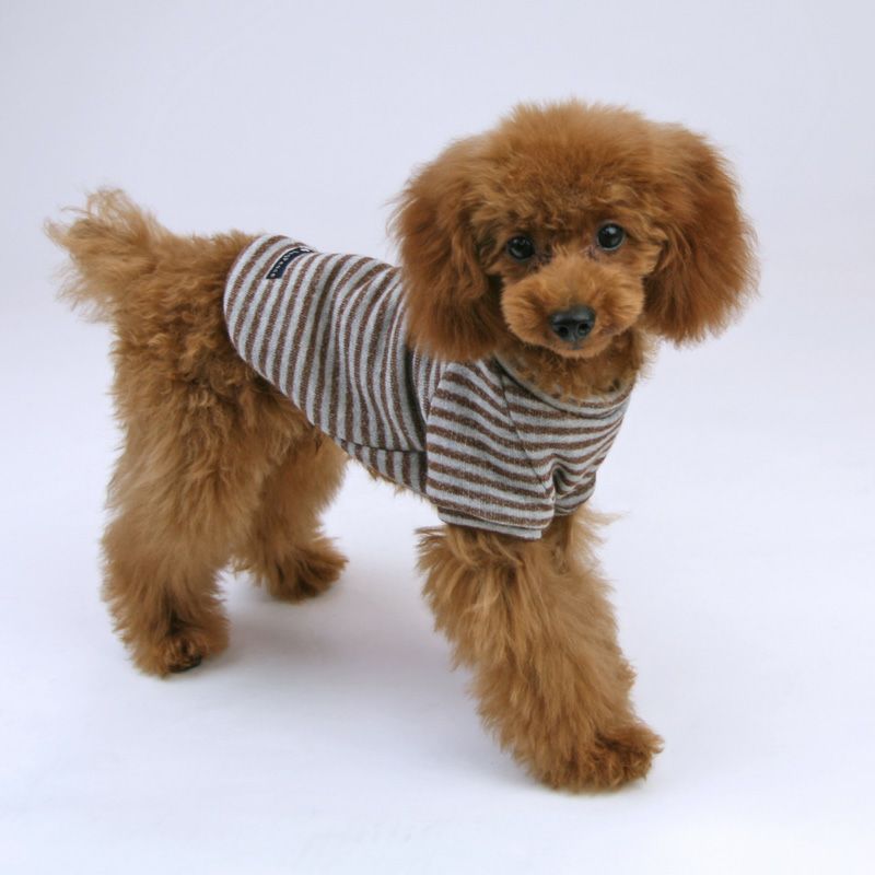 カット版・小型犬服型紙】 ラグラントレーナー | 犬服通販ドッグピース