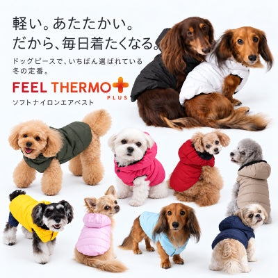 色とりどりのエアベストを着た犬たちと早割キャンペーンの案内