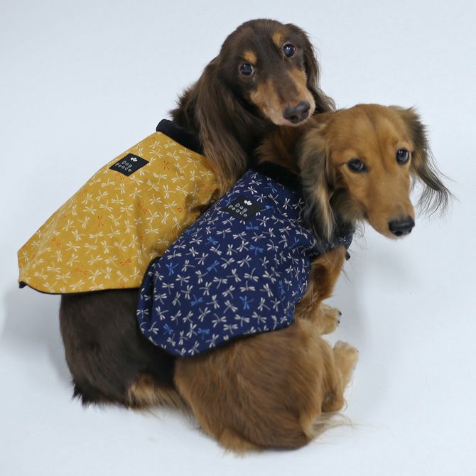 フィールサーモプラス ぽかぱか半纏 （とんぼ） | 犬服通販ドッグピース