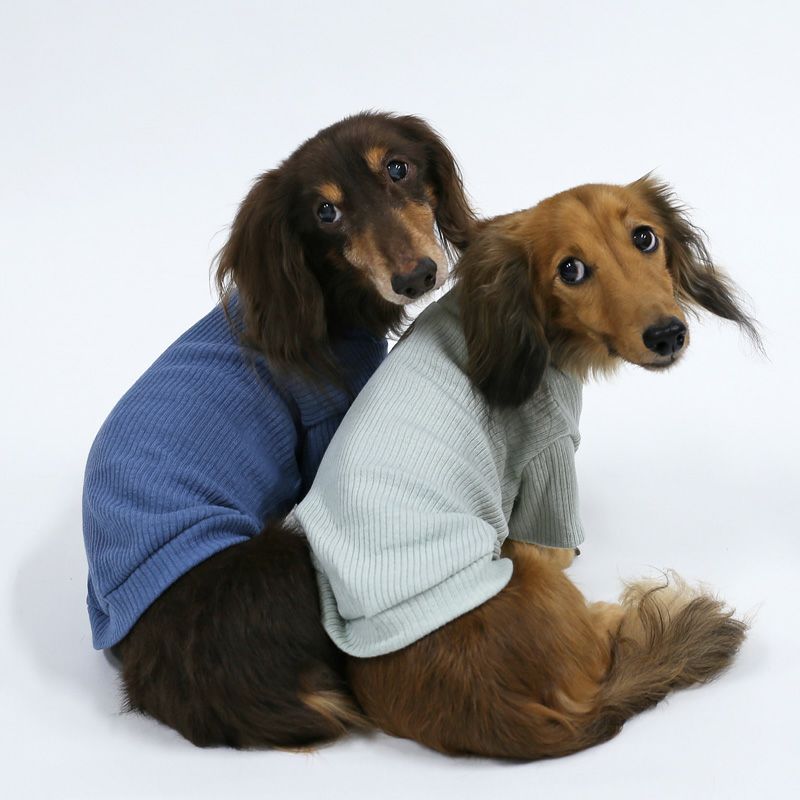 ロングスリーブ・タートルネック・リブカットソー | 犬服通販ドッグピース