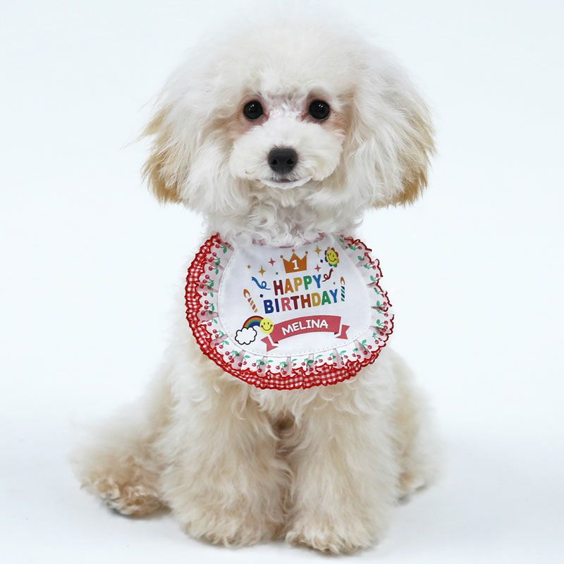 お名前プリント]ハッピーバースデイ・ビブ（スタイ）・チェックフリル