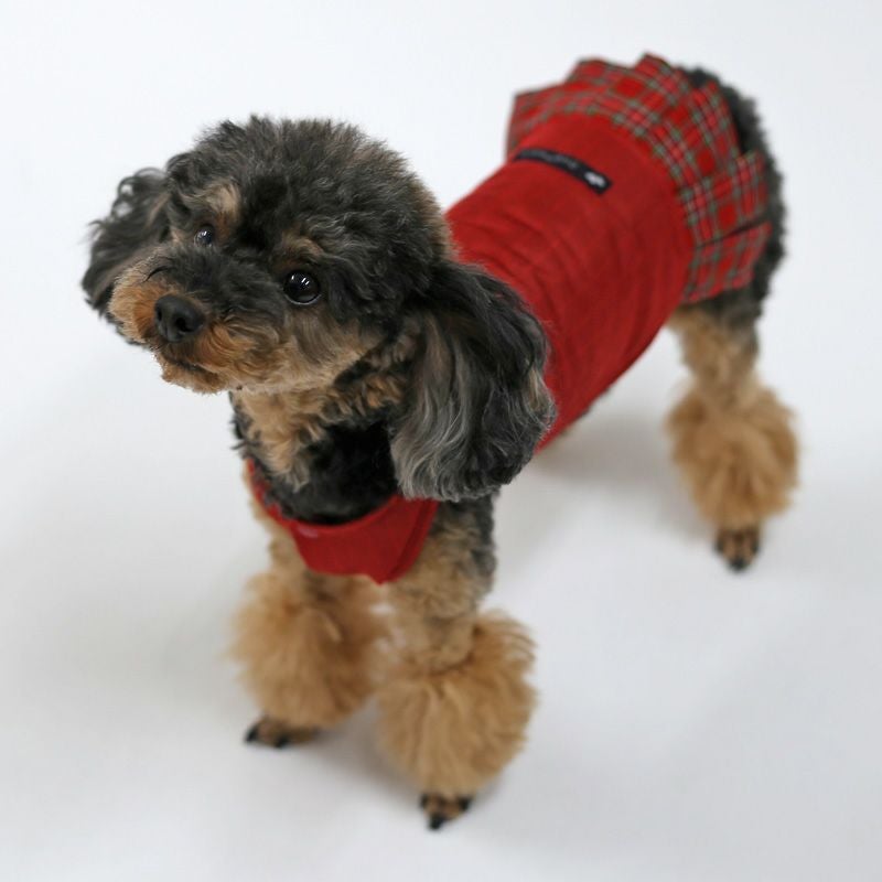 フィールサーモプラス インナータータンチェックボックススカート | 犬