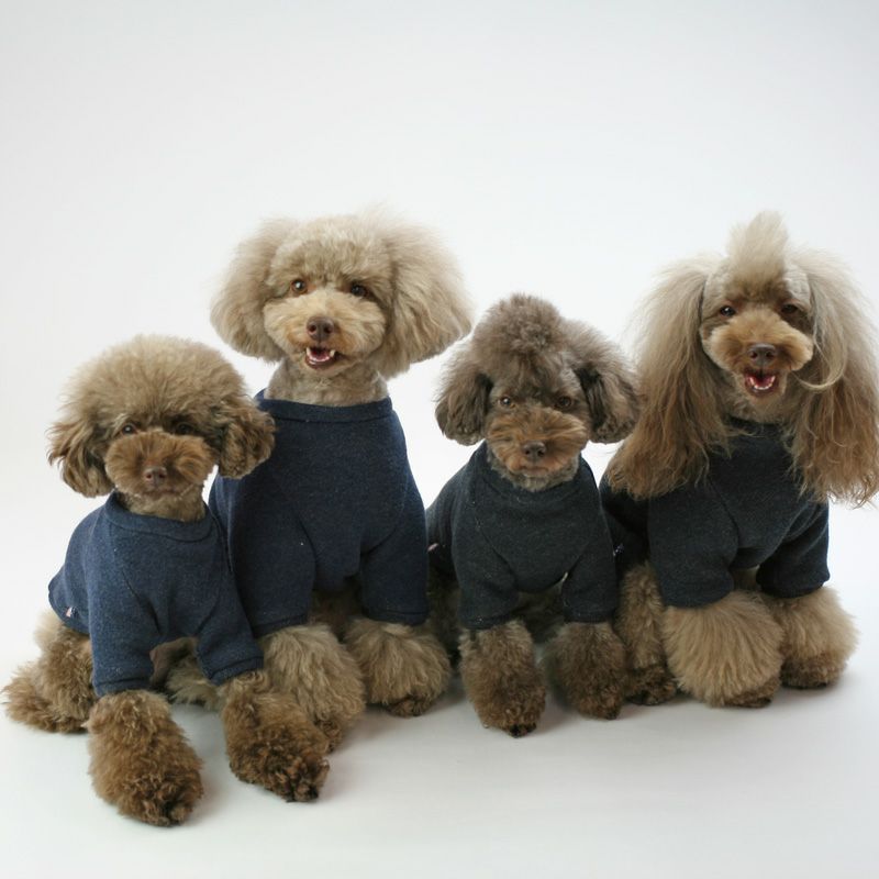 プリント版・小型犬服型紙】ラグラントレーナー | 犬服通販ドッグピース