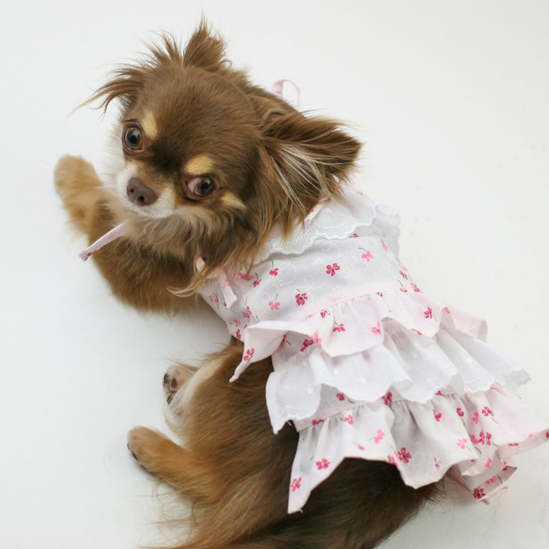 プリント版・小型犬服型紙】三段フリルキャミソール | 犬服通販ドッグ