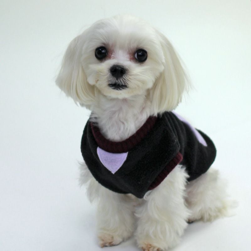 プリント版・小型犬服型紙】カンガルーポケット付きベスト | 犬服通販