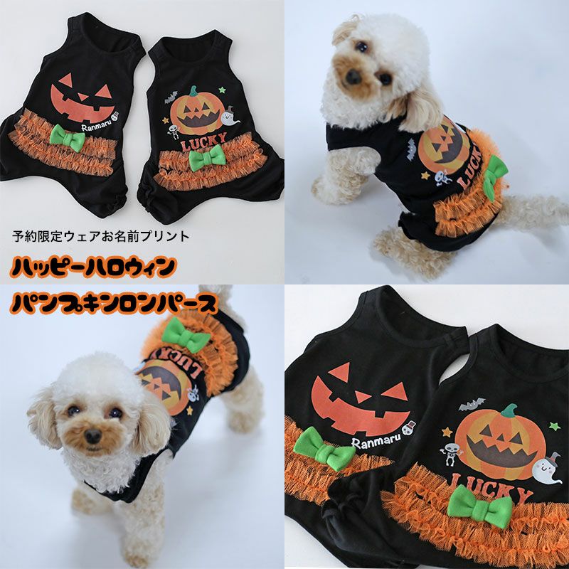 犬服♡ハンドメイド　ハロウィン　ロンパース 予約限定ウェア]ハッピーハロウィン・パンプキンロンパース | 犬服通販