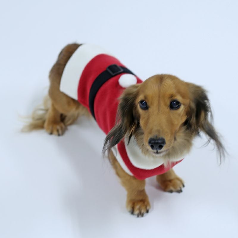 フリースサンタクロースコスチューム・ベスト＆ワンピース | 犬服通販