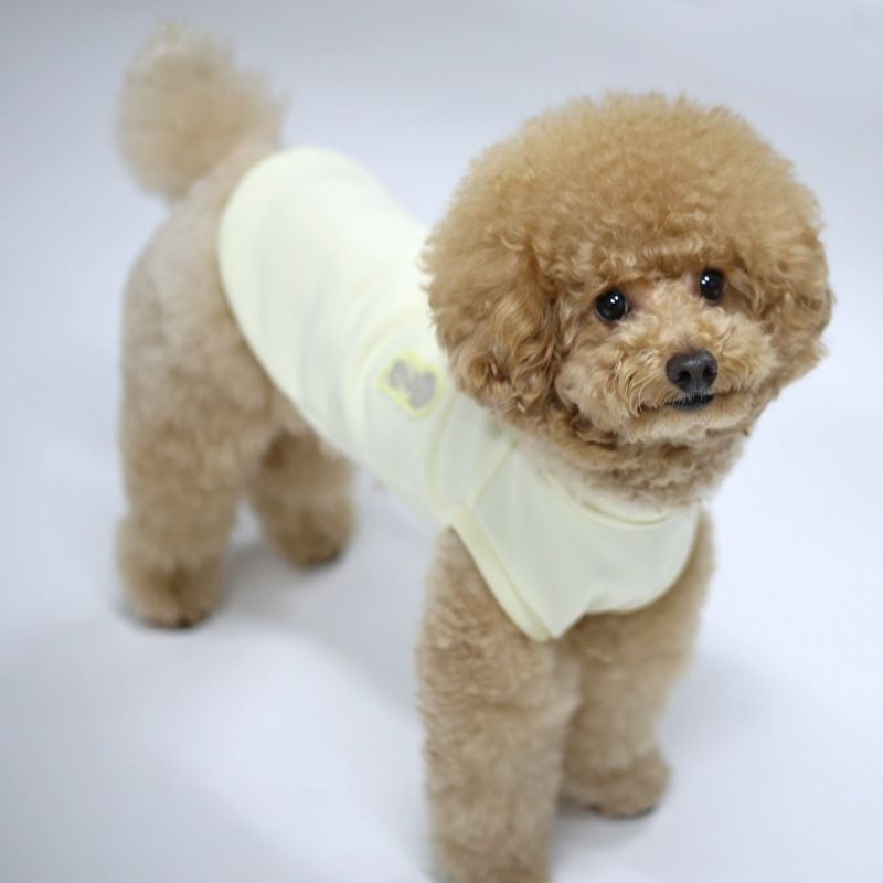 お名前刺繍］シルバーワッペン・新感覚スムースジャージベスト | 犬服