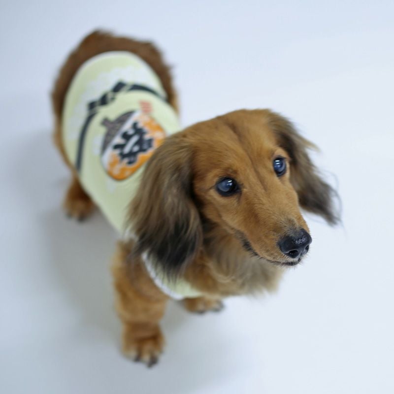ヴェリークールはっぴ風タンクトップ | 犬服通販ドッグピース