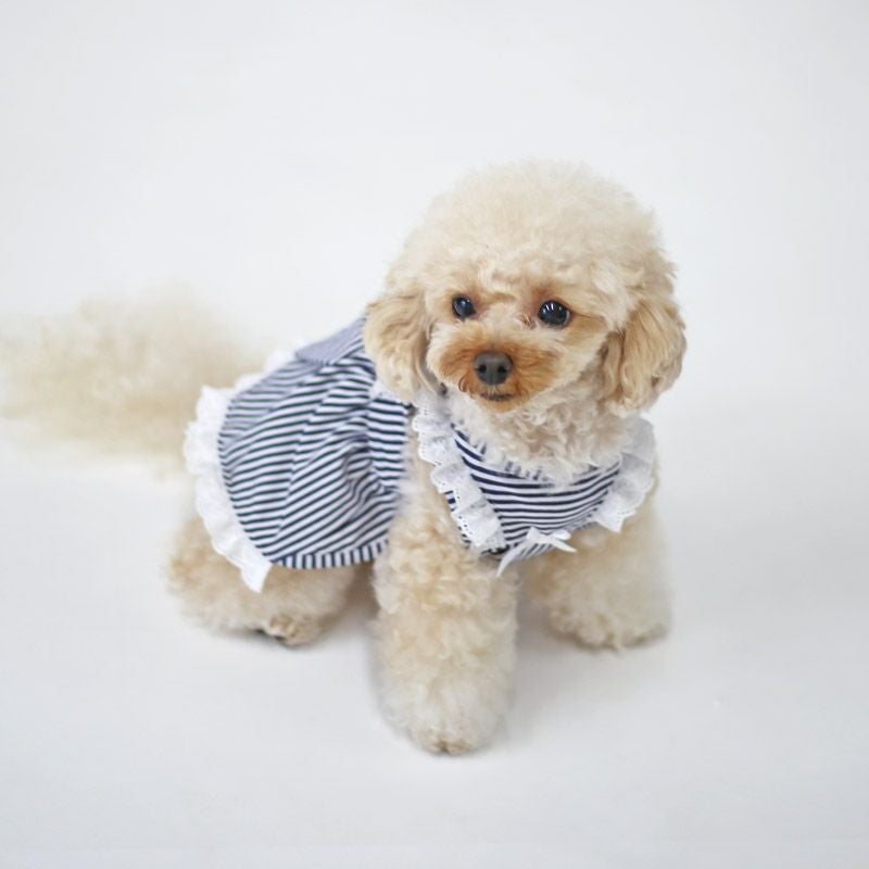 クールMAXストライプエプロンワンピース | 犬服通販ドッグピース