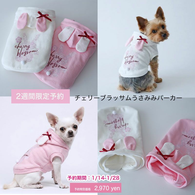犬服 3S わんこの普段着　フルーツカシェモア　きなり 予約限定ウェア]お名前プリントSakuraホワイトパーカー | 犬服通販