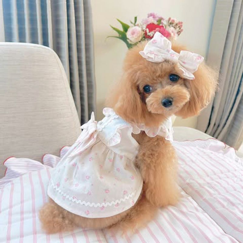 Prie × Puu Closet.] フリルリボン・エプロンワンピース | 犬服通販