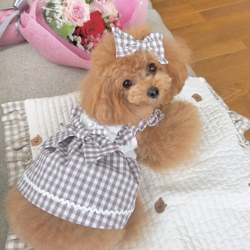 Prie × Puu Closet.] フリルリボン・エプロンワンピース | 犬服通販