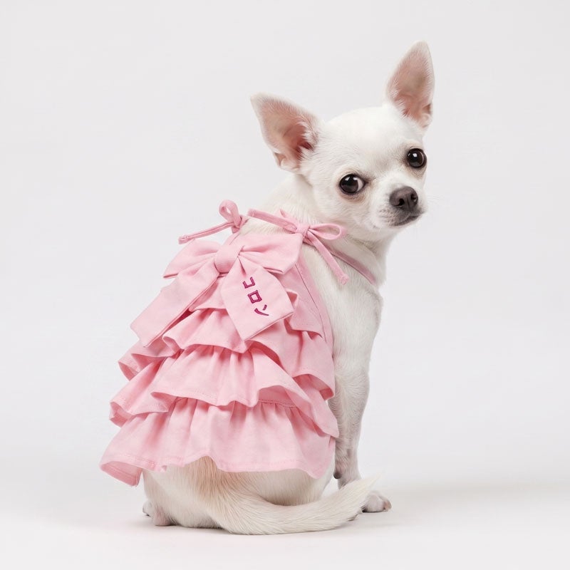 お名前刺繍］段フリルダンガリーリボンキャミソール | 犬服通販ドッグ