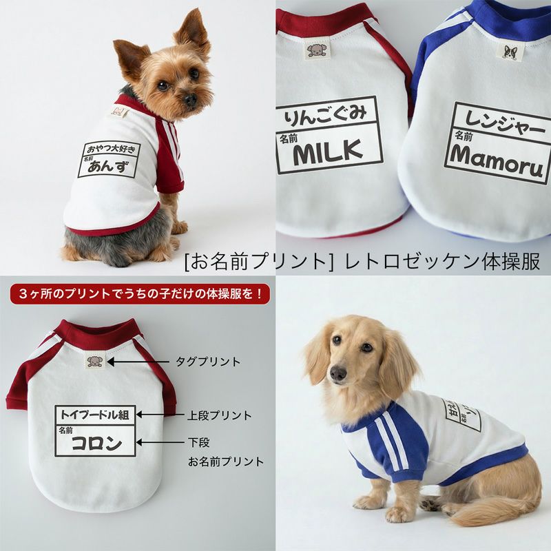 お名前プリント]レトロ・ゼッケン体操服 | 犬服通販ドッグピース