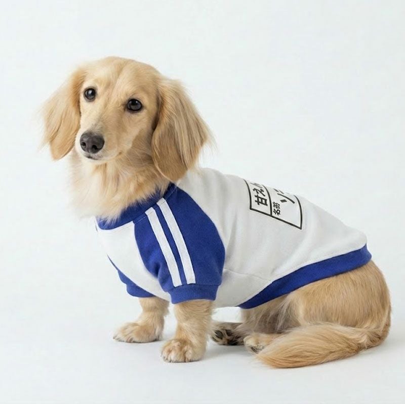 お名前プリント]レトロ・ゼッケン体操服 | 犬服通販ドッグピース