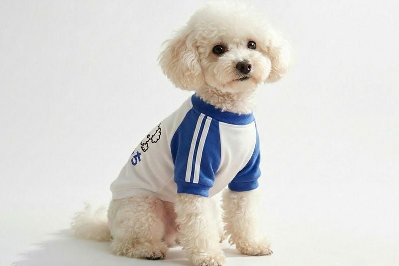 お名前プリント]レトロ体操服・ウィードッグス！シンプル | 犬服通販
