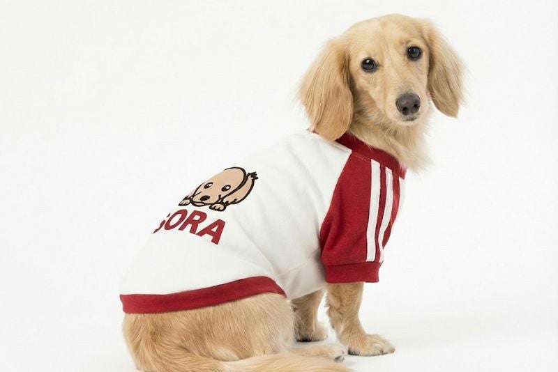 お名前プリント]レトロ体操服・ウィードッグス！シンプル | 犬服通販