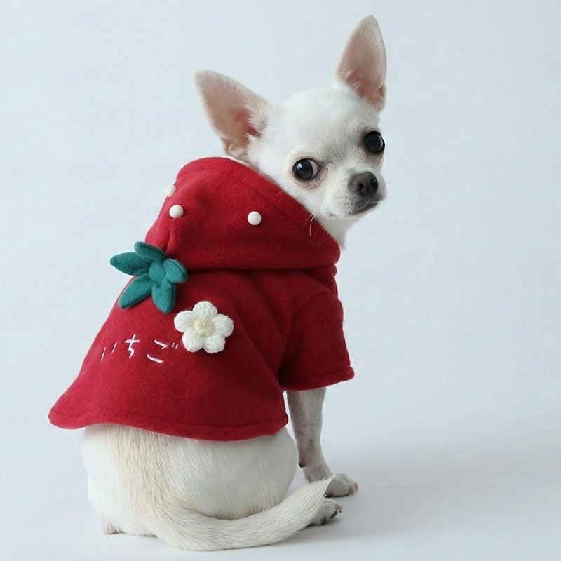 16250✨新品タグ付き✨GUCCI 犬服 いちご刺繍 赤白 ボーダー柄 グッチがブランド初の「ペットコレクション」を発売 約11万円のレイン